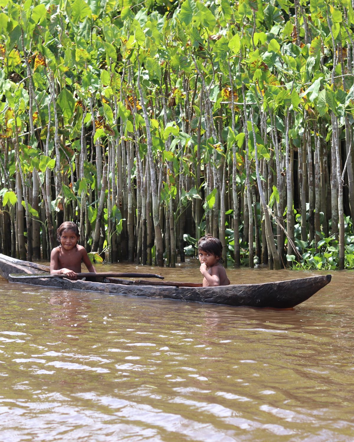 Una curiara entre los manglares del delta, con niños a bordo