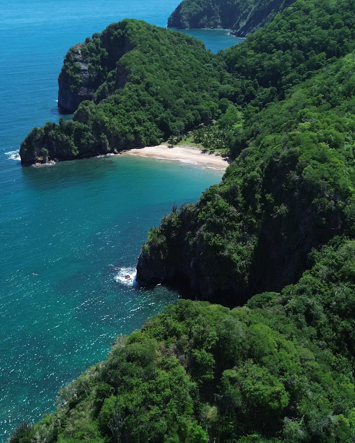 Una cala de arena entre dos brazos de selva, en la costa de Paria, vista desde el aire